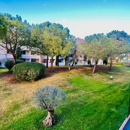 Appartement En Bord De Mer Avec Piscine San-Nicolao Exterior photo