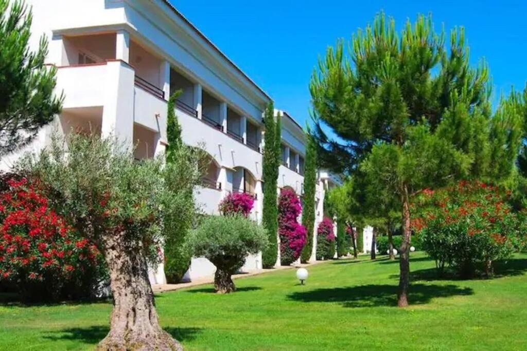 Apartment En Bord De Avec Piscine *